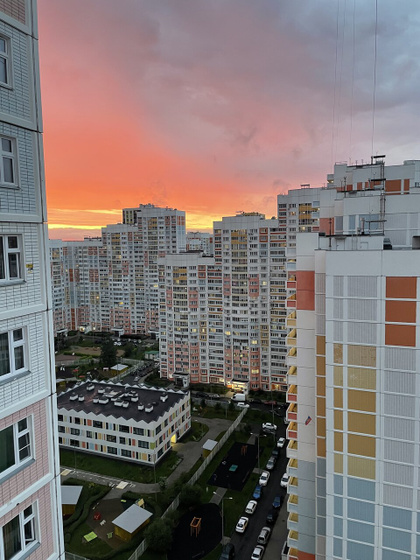 Давно такой красоты не видела ?
