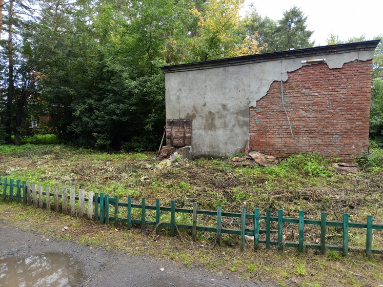 Зомби апокалипсис)