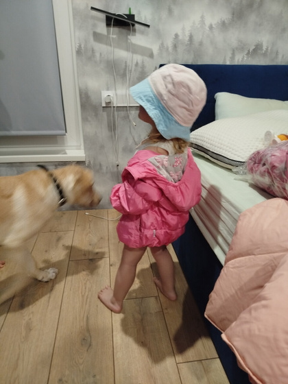 Танцы с голой ж