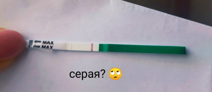 Тестомания )
