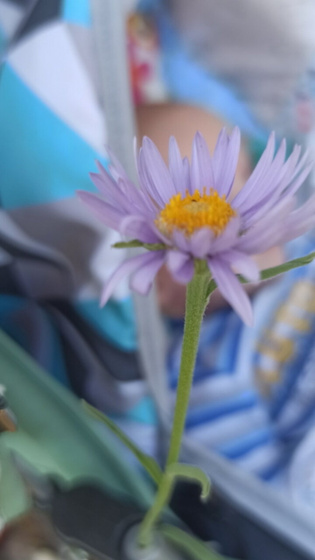 3 месяца сынку
