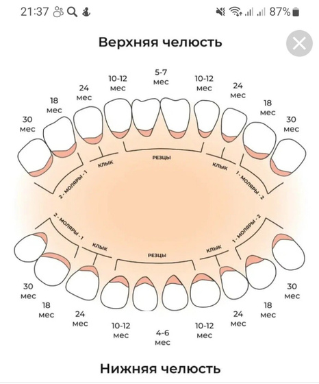 У ребенка уже 15