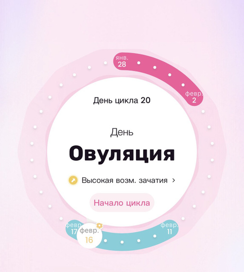 2️⃣0️⃣ ДЦ ( день овуляции )