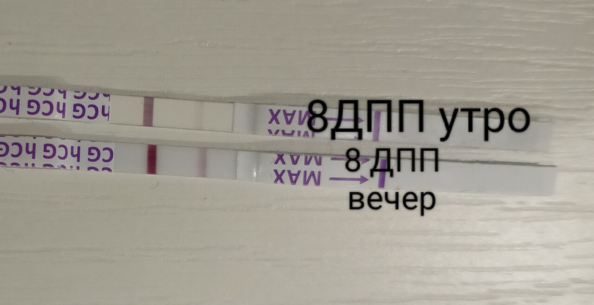 Хгч на 10 дпп