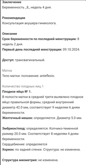 8 недель 4 дня