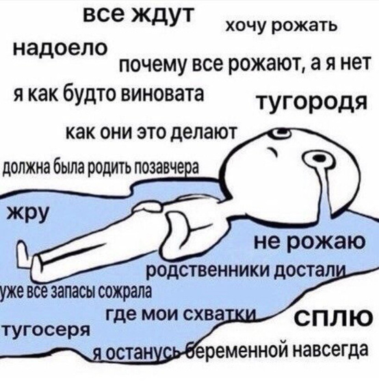Фотография 2023-12-29 01:24:26
