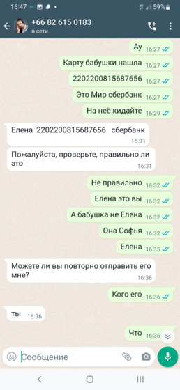 Елена из вацапа