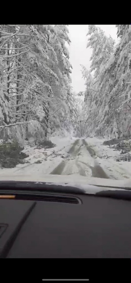 А у родителей вообще засада да и в городе.. 🫣
