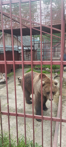 Посетили сегодня