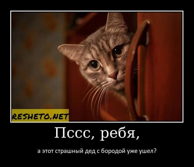Что пожелать тебе в Новом году? Чего сама хочешь?