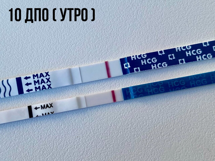 1️⃣0️⃣ дпо