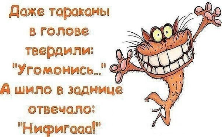 Крик души (про фото в некоторых постах)