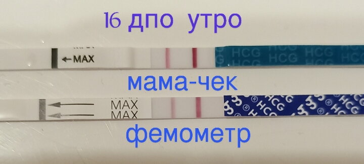 16 дпо утро Или
