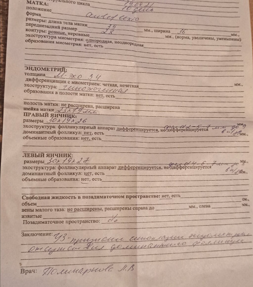 Получается овуляции не будет?