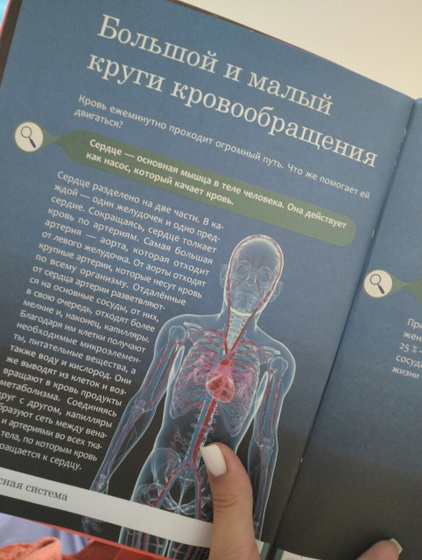 А что вы читаете перед сном?