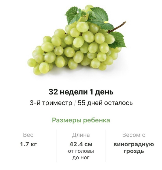 3️⃣2️⃣ недели ❤️.