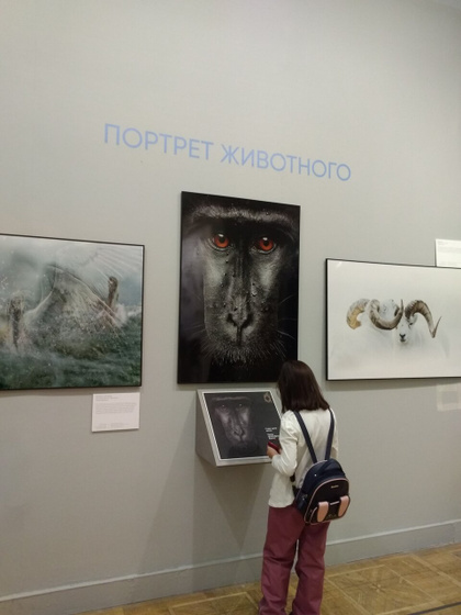 "Золотая черепаха" в Новой Третьяковке. Музеон. (16.10.21)