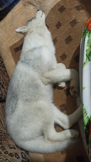 5 месяцев.