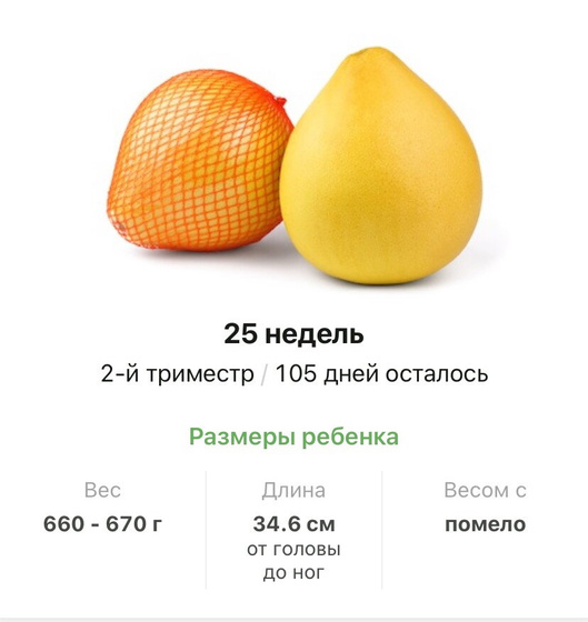 25 недель .