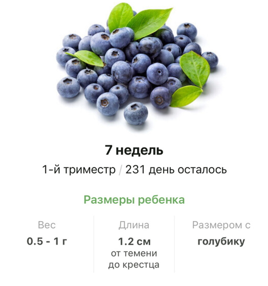 7 недель .