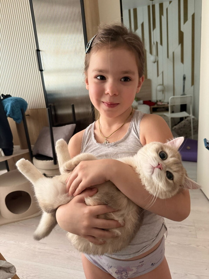 Кошку чтоль завести?