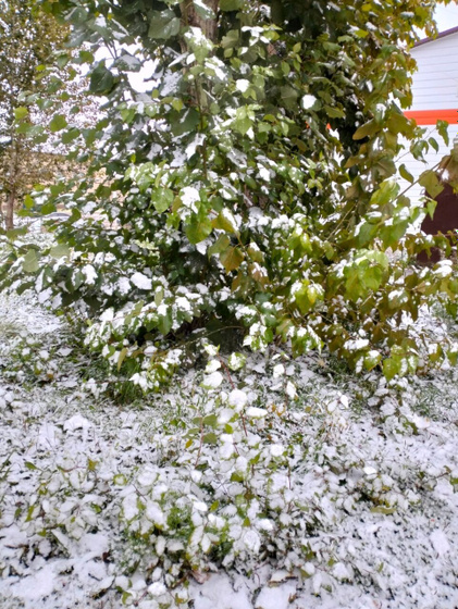Зима пришла ❄️❄️❄️