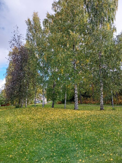 ? Осень