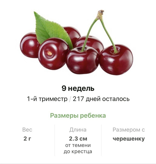 9 недель .
