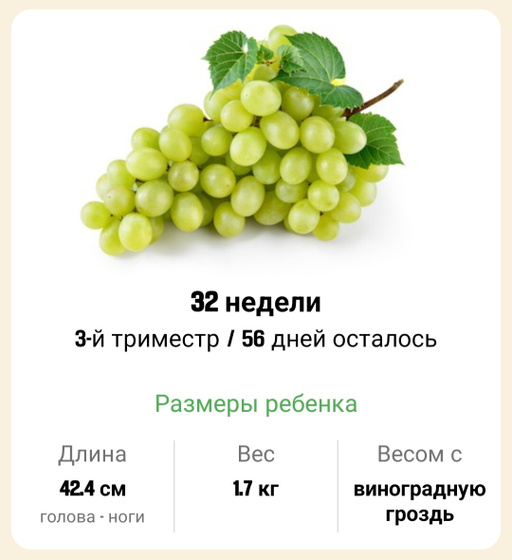 32 недели. 🍇🍇🍇