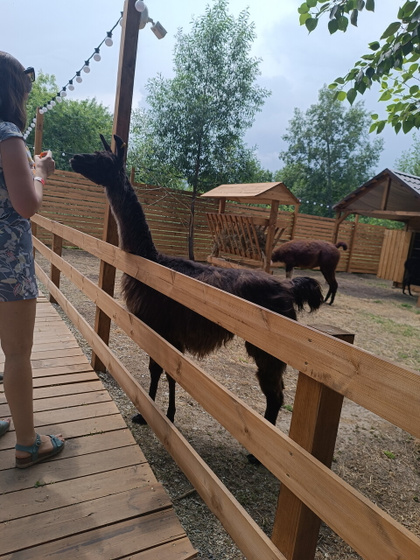 Гуляли сегодня