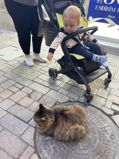 Баку