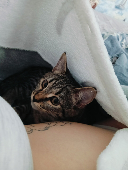 По мнению коськи, это лучшее место в 100кв.м ??♀️