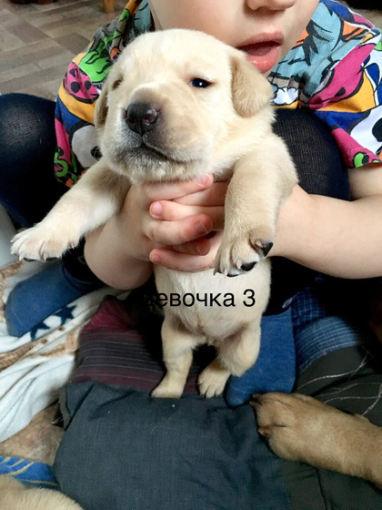 Детки подрастают)