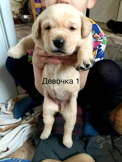 Детки подрастают)