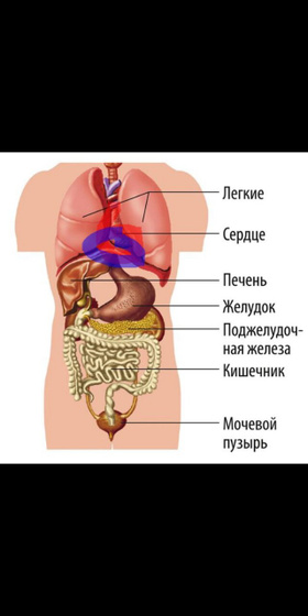 Боль у взрослого