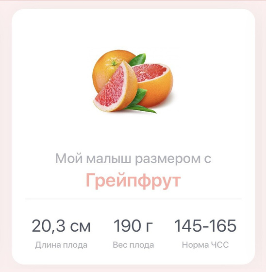 Уже 17.3 недель😍🙏