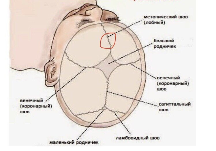 Может было у кого подобное?