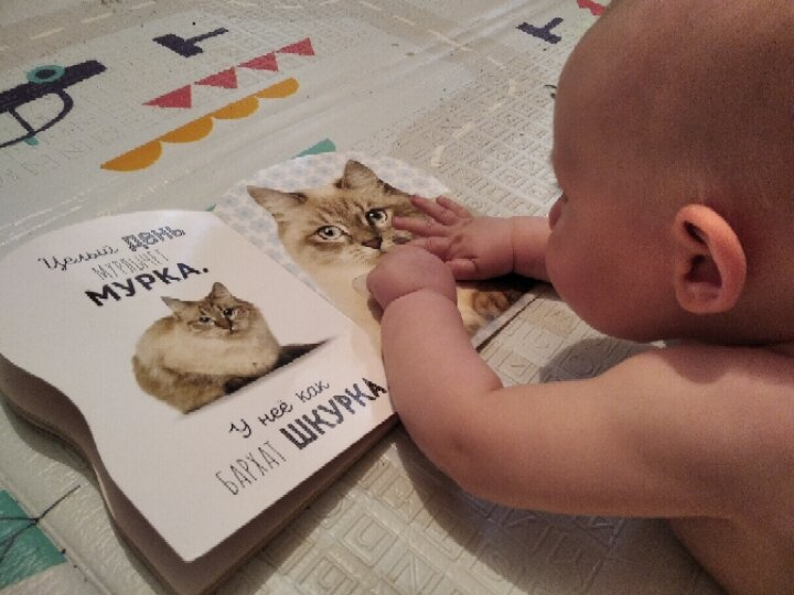 Первые книжки📚