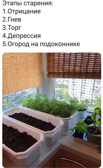 Скоро , на всех подоконниках страны ?