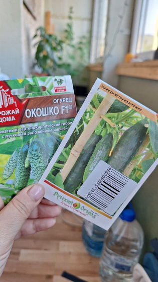 Ох