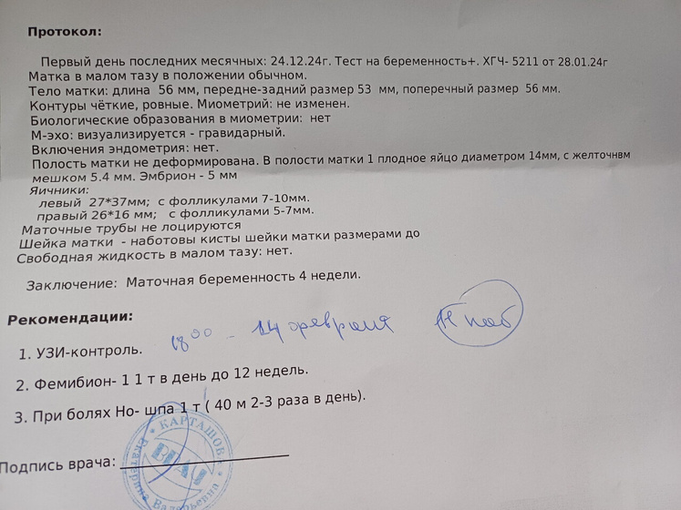 Сходили на УЗИ