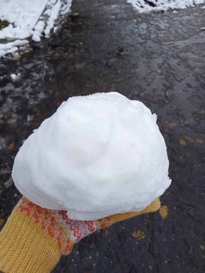 Зимняя сказка.