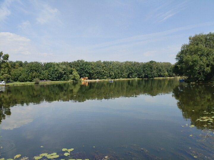 Прогулка в Кузьминском парке☀️