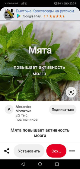 А вы знали?🤭