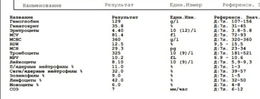Оак в 7 лет.