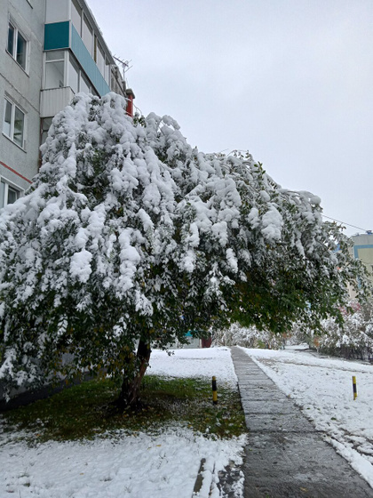 Зимняя сказка.