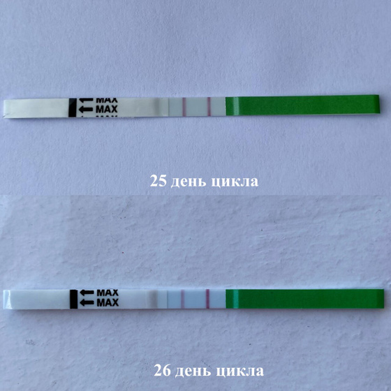 26 дц ( понятно, что ничего не понятно ) ?