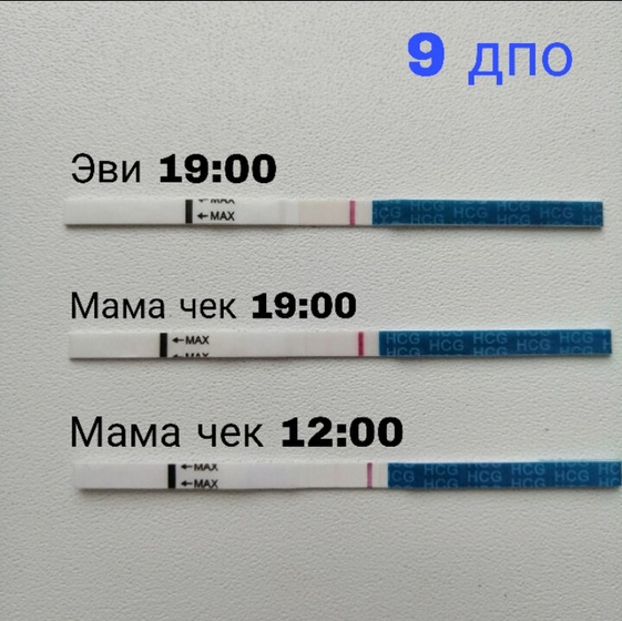 Девочки, я не знаю