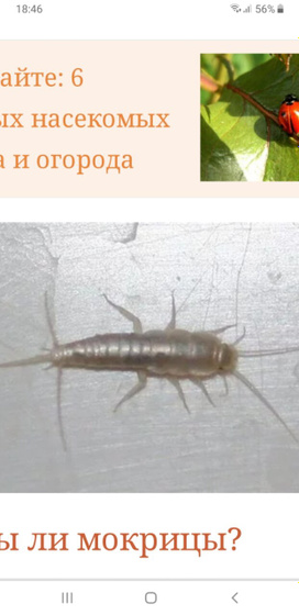 Девочки, у кого были