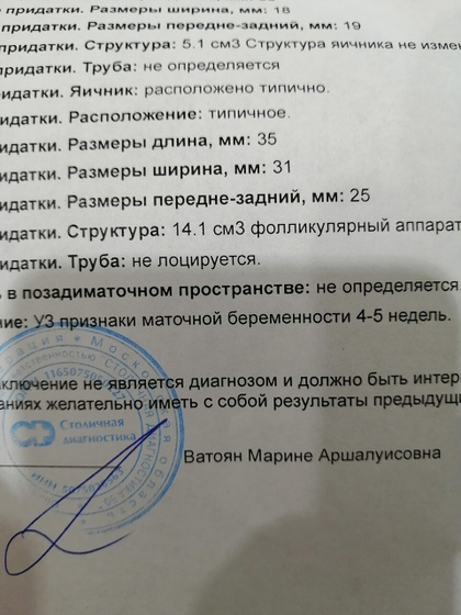 6 недель 1 день.